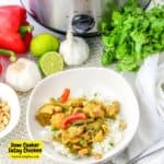 Slow Cooker Satay Chicken