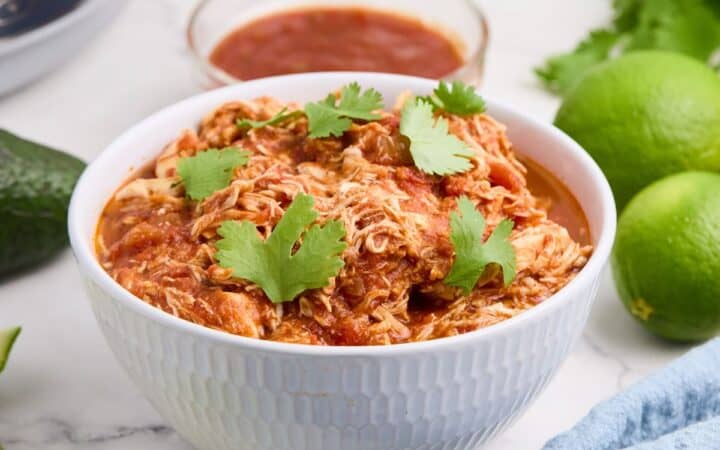 Crock Pot (Slow Cooker) Salsa Chicken