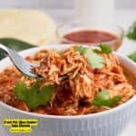 Crock Pot (Slow Cooker) Salsa Chicken