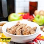 Air Fryer Pumpkin Spice Apple Fries