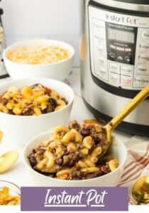 Instant Pot Recipes (Pressure Cooker)