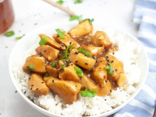 Slow Cooker Teriyaki Chicken