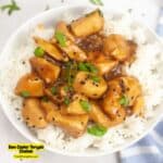 Slow Cooker Teriyaki Chicken