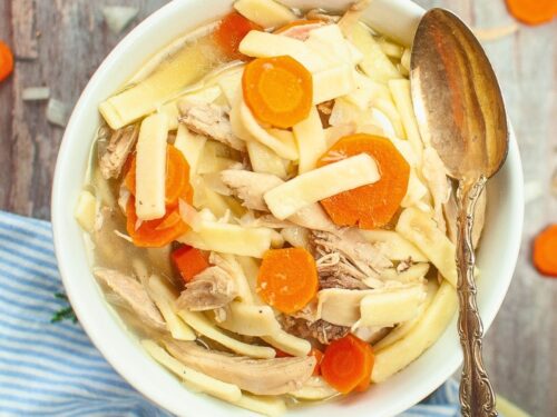 Instant Pot Chicken Noodle Soup Recipe