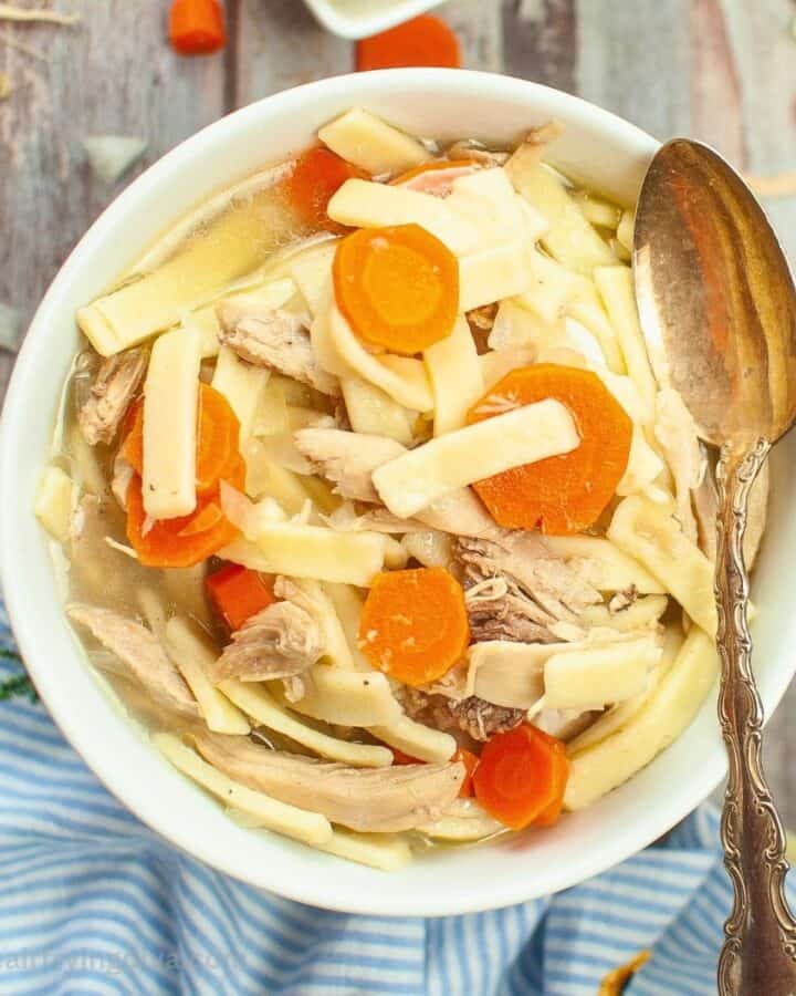 Instant Pot Chicken Noodle Soup Recipe