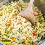 Instant Pot Chicken and Noodle Dinner