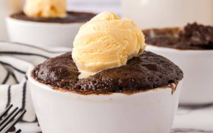 2 Minute Microwave Chocolate Cake