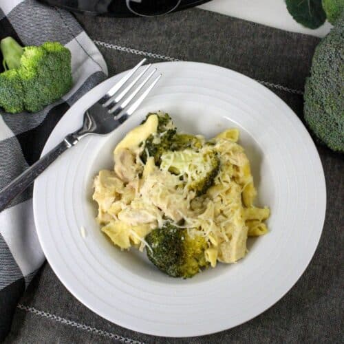 Slow Cooker Chicken and Broccoli Pasta