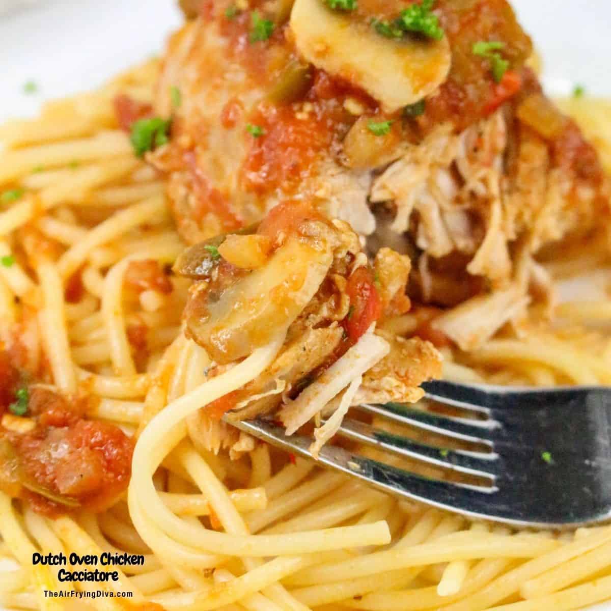 Dutch Oven Chicken Cacciatore, a simple one pot savory and rustic chicken recipe featuring tender chicken thighs cooked in a rich sauce. Dutch Oven Chicken Cacciatore, a simple one pot savory and rustic chicken recipe featuring tender chicken thighs cooked in a rich sauce.